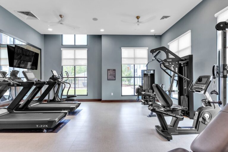 Modern gym with treadmills, exercise bike, and weight machines in a bright, spacious room with large windows.
